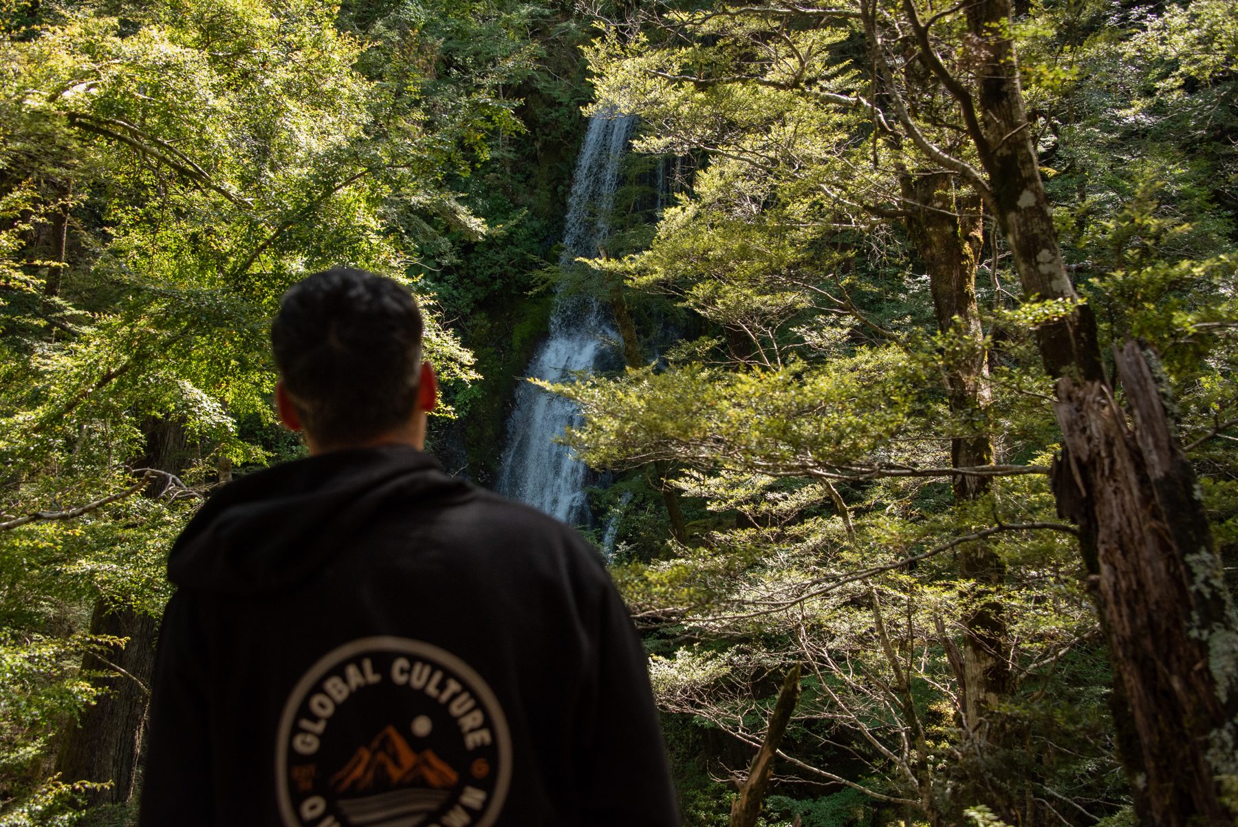 Guests walking through beech forest towards a waterfall on the guided wilderness walk in Mount Aspiring National Park